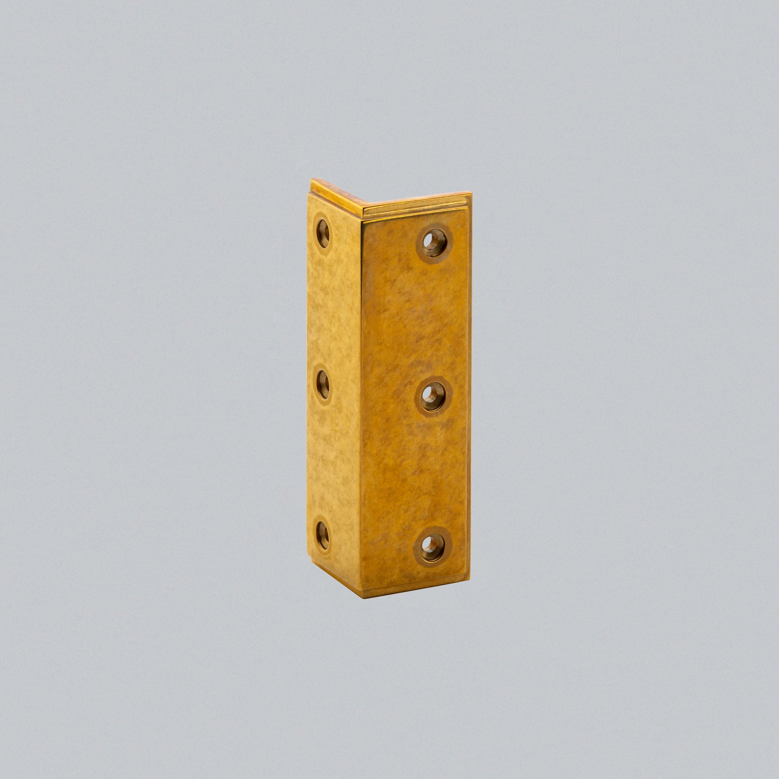 Skirting Protector